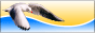 VDStudio WEB News
